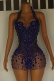 Mila in Royal Blue  ( Ready to Ship )