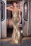 Prom Dress R4