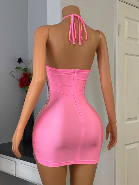 Rose " RTS "
